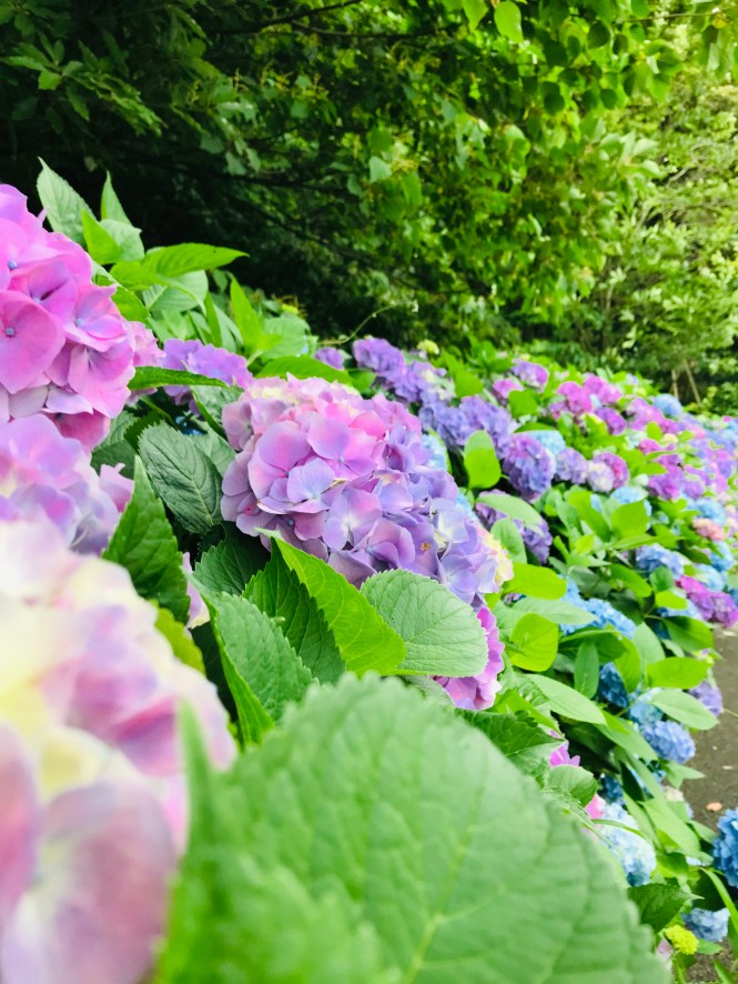 1BF39000-D35F-431A-8A98-CFC783437E96