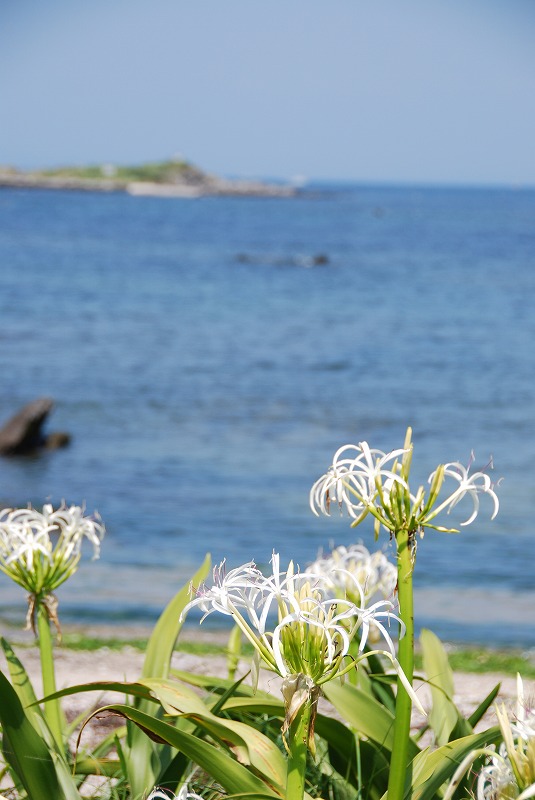 D19DE042-47C2-4E50-BE5F-85876CB491B4